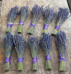 Dried Lavender Bundles 8-10 inch Small Pack of 10 Home Decor